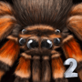 终极蜘蛛模拟器2(Spider Colony Simulation 3D)安卓版下载游戏