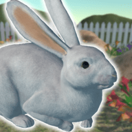 兔子朋友(usagi)游戏安卓下载免费