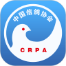 中国信鸽协会应用下载