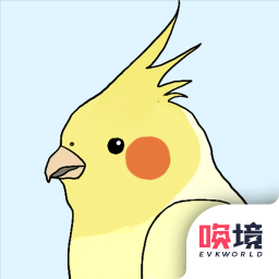 鸟巢安卓版app免费下载