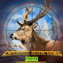 狂野狙击猎人Wild Animal Hunt最新安卓免费版下载