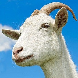 模拟山羊免费版安卓下载安装