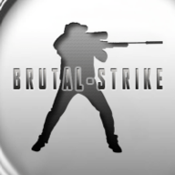 BrutalStrike联机战队