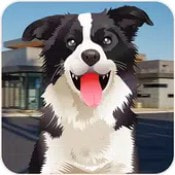 宠物避难所模拟器Pet Shelter Simulator最新安卓免费版下载