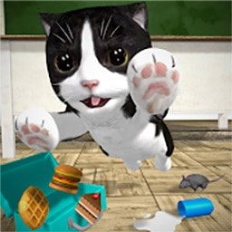 猫咪模拟器凯蒂·卡夫免费手游最新版本
